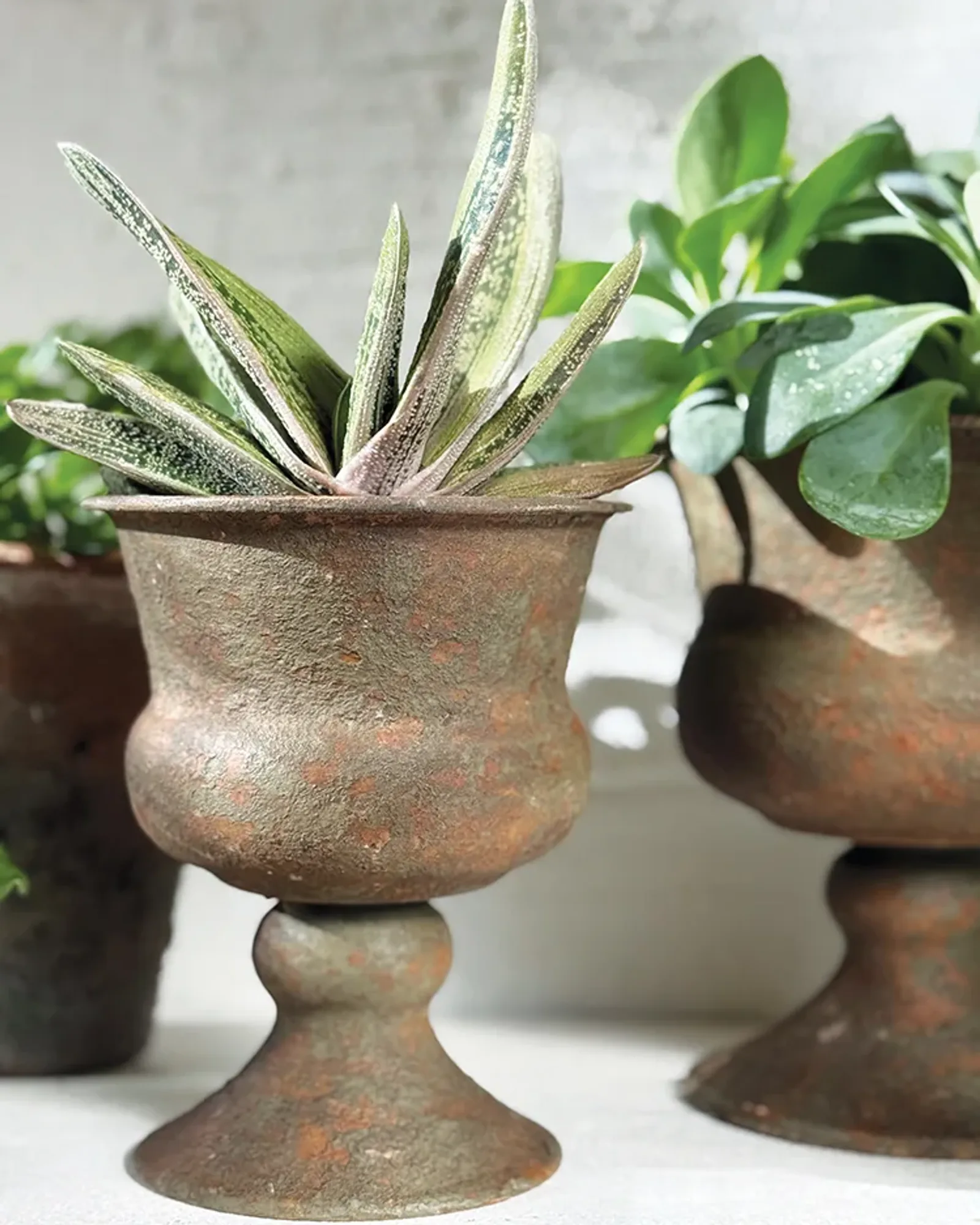 A small rust-coloured urn in the Versailles shape, photographed on its own.