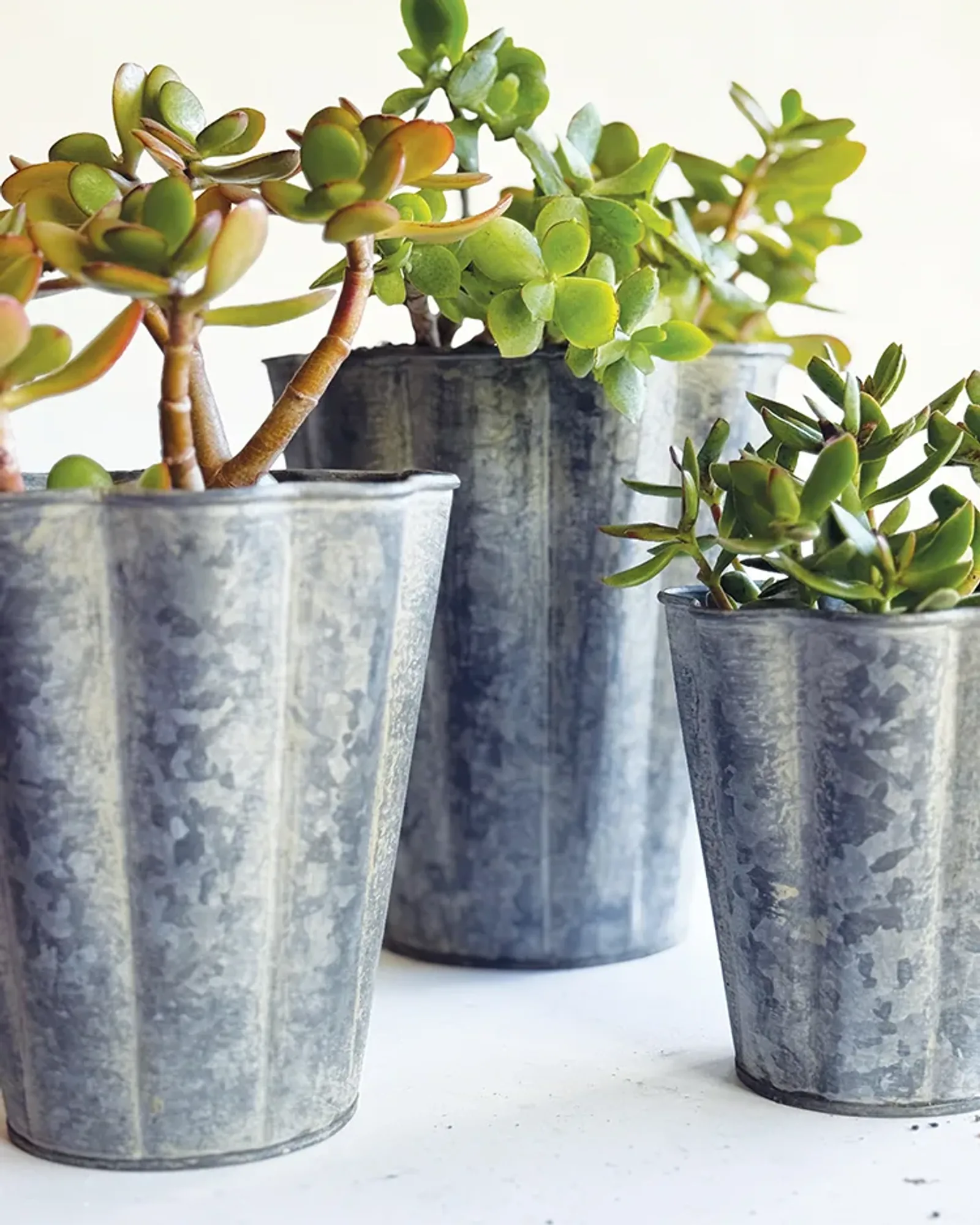 A large zinc long tom pot with vertical fluting down its sides, photographed on its own.