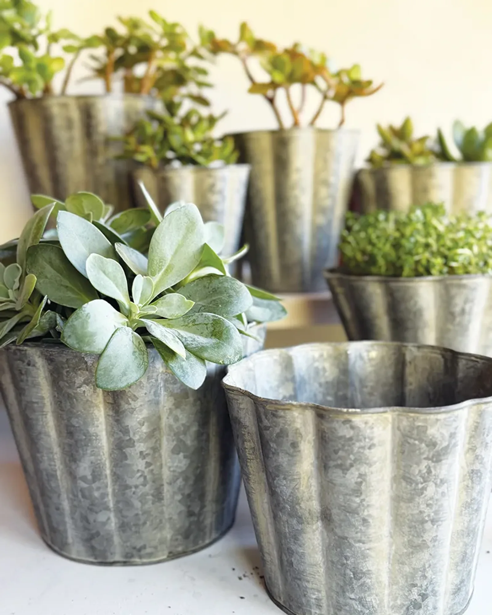Two small round zinc planters with fluted sides, low and wide, standing side by side.